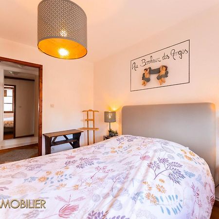 Au Bonheur Des Anges Appartement 2 Chambres Avec Terrasse Colmar Bagian luar foto